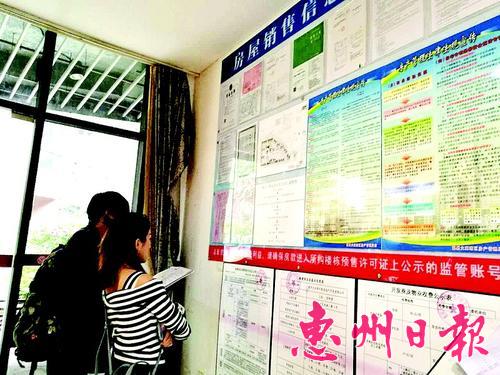 购房者在大亚湾某楼盘销售中心了解房地产销售公示信息。
